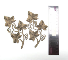 Load image into Gallery viewer, Nature