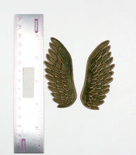 Load image into Gallery viewer, Nature