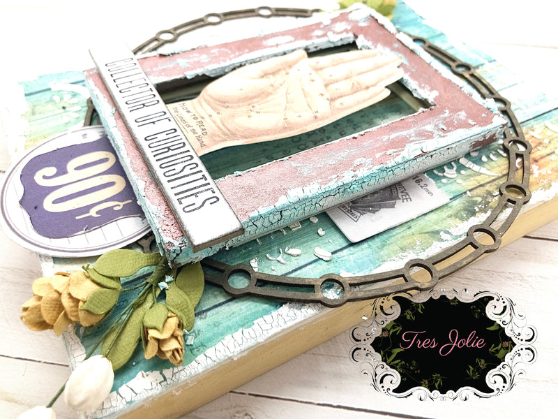 Collector of Curiosities Mixed Media Panel