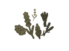 Load image into Gallery viewer, Nature
